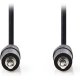 NEDIS CAGP22050BK50 Καλώδιο ήχου 3,5mm αρσ. Stereo - 3,5mm Stereo θηλ., 5m 0020700 NEDIS CAGP22050BK50 Καλώδιο ήχου 3,5mm αρσ. Stereo - 3,5mm Stereo θηλ., 5m 0020700
