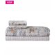 KENTIA Lucas 22 Σεντόνι Μονό Σετ 3 Τεμ 160x270 0036224 KENTIA Lucas 22 Σεντόνι Μονό Σετ 3 Τεμ 160x270 0036224