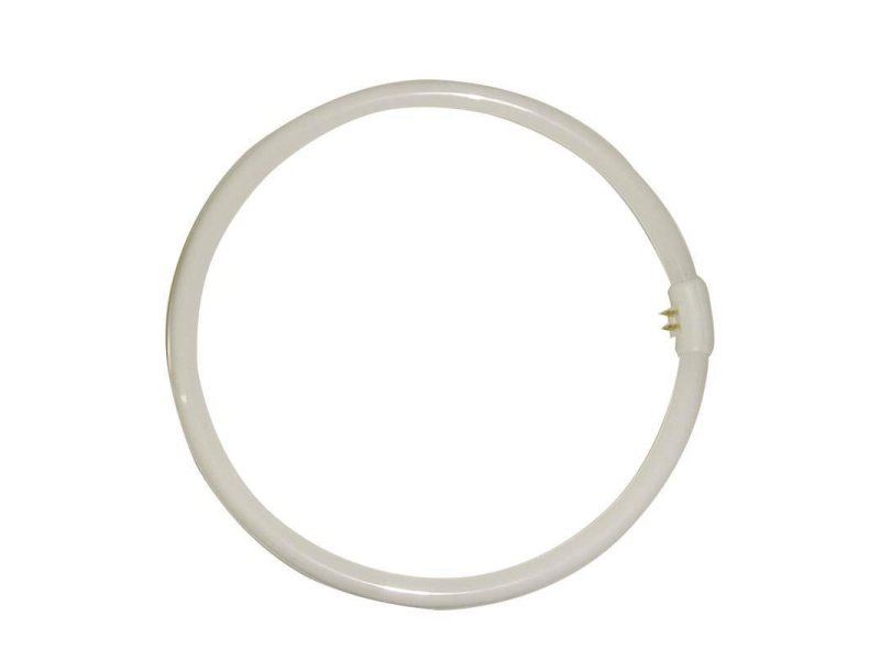 EUROLAMP 147-88636 32W/865 T9 Λαμπτήρας Κυκλικός Φθορίου 0009755 EUROLAMP 147-88636 32W/865 T9 Λαμπτήρας Κυκλικός Φθορίου 0009755